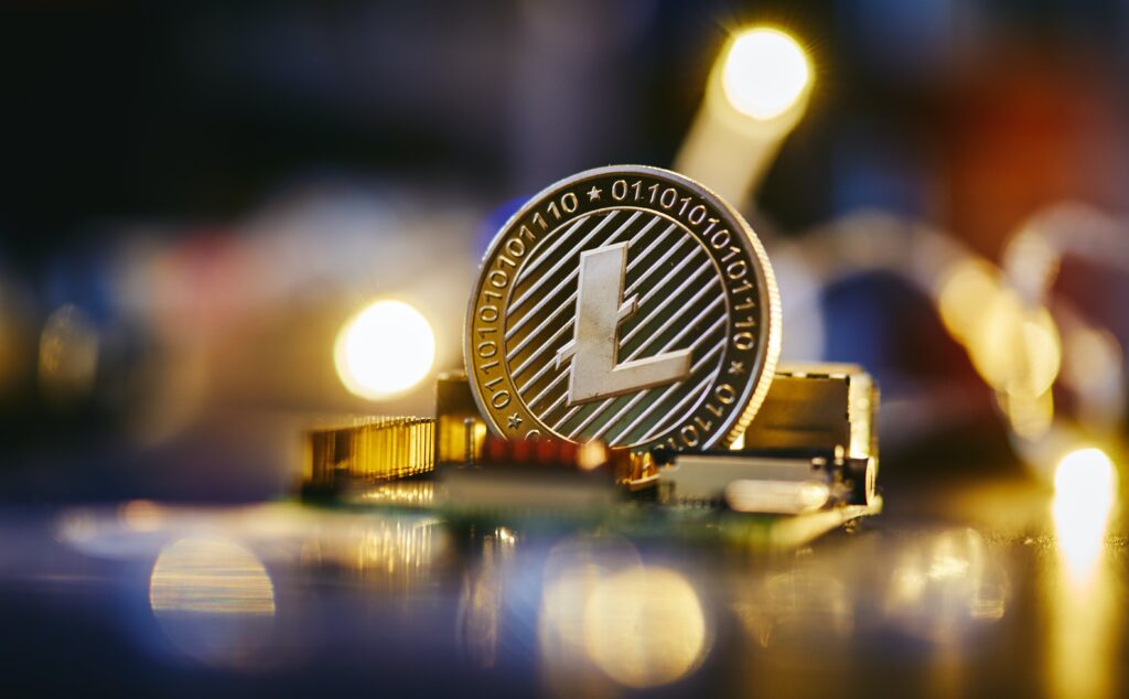 Picture showing litecoin