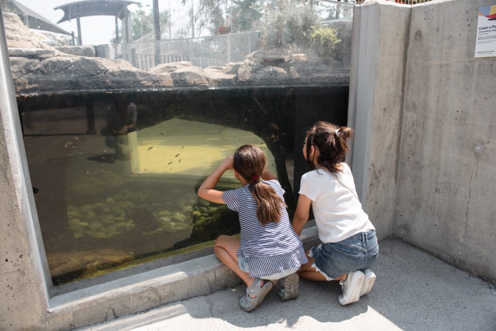 Picture showing a Zoo